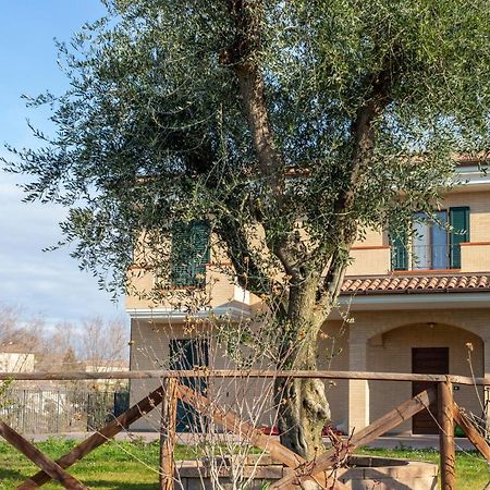 La Merlana Affittacamere Morrovalle 외부 사진
